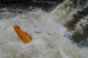 Thumbs/tn_Img_1674.jpg
