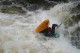 Thumbs/tn_Img_1687.jpg