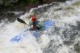 Thumbs/tn_Img_1701.jpg