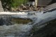 Thumbs/tn_Img_2123.jpg