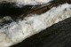 Thumbs/tn_Img_2271.jpg