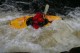 Thumbs/tn_Img_2311.jpg