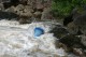 Thumbs/tn_Img_2372.jpg