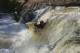 Thumbs/tn_Img_2392.jpg
