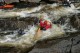 Thumbs/tn_Img_2416.jpg