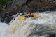 Thumbs/tn_Img_2439.jpg
