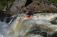 Thumbs/tn_Img_2452.jpg