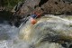 Thumbs/tn_Img_2453.jpg