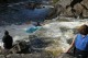 Thumbs/tn_Img_2537.jpg