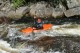 Thumbs/tn_Img_2557.jpg