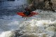 Thumbs/tn_Img_2562.jpg