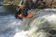 Thumbs/tn_Img_2571.jpg