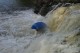 Thumbs/tn_Img_2626.jpg