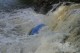 Thumbs/tn_Img_2627.jpg