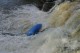 Thumbs/tn_Img_2628.jpg