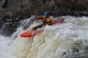 Thumbs/tn_Img_2640.jpg