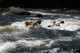 Thumbs/tn_Img_3042.jpg