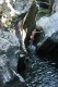 Thumbs/tn_Img_7406t.jpg