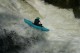 Thumbs/tn_Img_0890.jpg
