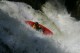 Thumbs/tn_Img_0947.jpg