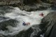 Thumbs/tn_Img_1136.jpg