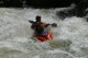 Thumbs/tn_Img_8656.jpg