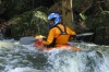 Thumbs/tn_Img_7731.jpg
