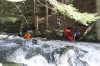 Thumbs/tn_Img_7734.jpg