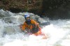 Thumbs/tn_Img_7746.jpg