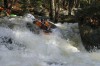 Thumbs/tn_Img_7774.jpg