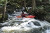 Thumbs/tn_Img_7781.jpg