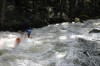 Thumbs/tn_Img_7829.jpg