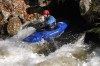 Thumbs/tn_Img_7835.jpg