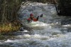 Thumbs/tn_Img_7847.jpg