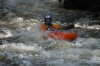 Thumbs/tn_Img_7853.jpg
