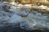 Thumbs/tn_Img_7901.jpg