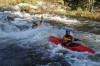 Thumbs/tn_Img_7904.jpg