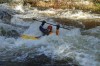 Thumbs/tn_Img_7918.jpg
