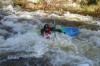Thumbs/tn_Img_7938.jpg