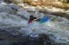 Thumbs/tn_Img_7941.jpg