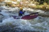 Thumbs/tn_Img_7947.jpg