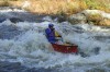 Thumbs/tn_Img_7954.jpg