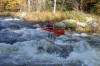 Thumbs/tn_Img_7963.jpg
