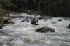 Thumbs/tn_Img_7969.jpg