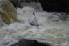 Thumbs/tn_Img_8001.jpg