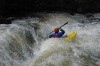 Thumbs/tn_Img_8004.jpg