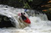 Thumbs/tn_Img_8009.jpg