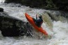 Thumbs/tn_Img_8015.jpg