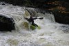 Thumbs/tn_Img_8024.jpg
