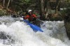Thumbs/tn_Img_8031.jpg